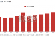 中国消费型电池行业报告