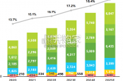 中国储能行业研究报告（43页）