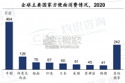 中国方便速食行业蓝皮书（21页）