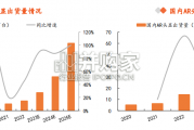 VR行业报告（38页）