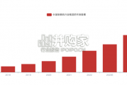 中国制氧机行业报告