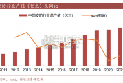 安防行业报告（36页）