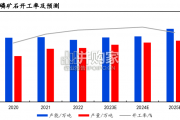 磷化工行业报告（48页）