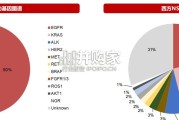 驱动基因阴性NSCLC专题报告：下一代治疗范式，双抗、IO+ADC（50页）