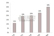中国绿色甲醇行业报告（16页）