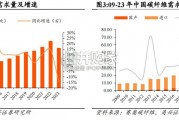 碳纤维行业报告（23页）