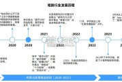 中国短剧行业研究报告（37页）