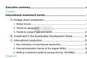 【英文】联合国贸发会：世界投资报告（184页）