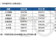 大型零售企业发展指数&经营指标报告（28页）