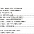 潮玩行业研究报告（19页）