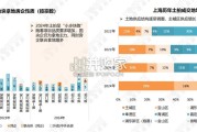 2024-2025年上海楼市年报（62页）