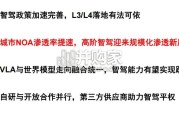 智能驾驶研究报告：高阶智驾（45页）