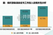 中国社会组织激励研究报告（38页）