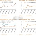 钨行业报告（30页）