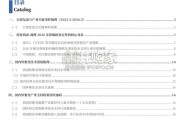可控核聚变专题报告：可控核聚变，示范堆（32页）