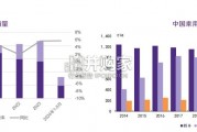 中国豪华车市场分析报告（43页）