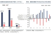 安徽省电力供需分析与展望报告（30页）