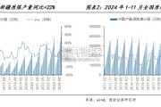 新疆煤化工行业报告（27页）