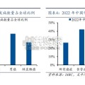 软镜行业报告（28页）