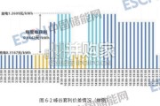中国工业微电网发展白皮书（50页）