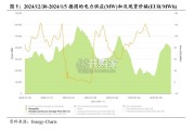 欧洲负电价现象研究报告：消纳和调控能力的贫弱（16页）