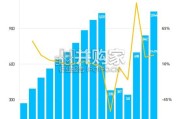 中国租车行业趋势报告（62页）