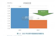 跨国公司在中国专题研究报告（63页）