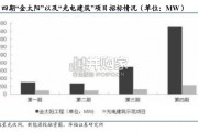 分布式光伏消纳研究报告（39页）