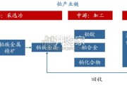 铂金属行业报告（20页）