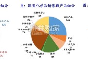 化工行业研究报告：化工巨头产能退出欧洲市场（28页）