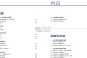 中国自由贸易试验区发展报告（69页）
