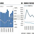 新型烟草行业报告（29页）