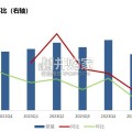 特斯拉及新势力车企2024年报总结报告（58页）