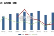 特斯拉及新势力车企2024年报总结报告（58页）