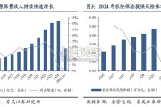 保险行业报告：普惠保险体系（19页）