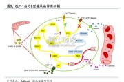 GLP-1受体激动剂行业报告：GLP-1RAs引领降糖减重市场（45页）