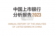 2023年中国上市银行分析报告（177页）