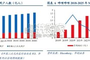 二次元游戏行业报告：二次元开放世界游戏，席卷全球（47页）