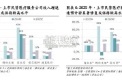 民营医疗服务行业报告（79页）