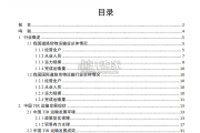 中国TIR运输发展报告（60页）