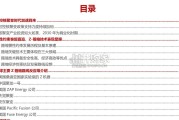 可控核聚变行业报告（31页）