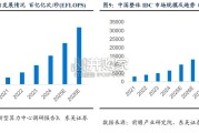 IDC和算力租赁深度报告（13页）