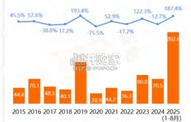 2025年中国动画电影市场洞察报告(43页)