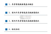 具身智能数据研究报告：AI时代的石油（33页）