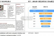 脑机接口行业报告（23页）