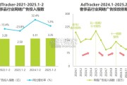 奢侈品行业网络营销监测报告（31页）