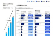 新能源车险研究报告（25页）