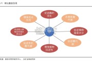 钾行业报告（30页）