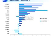 中国租赁业调查报告（104页）