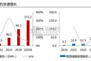 碳酸锂2026年供需格局展望报告（31页）
